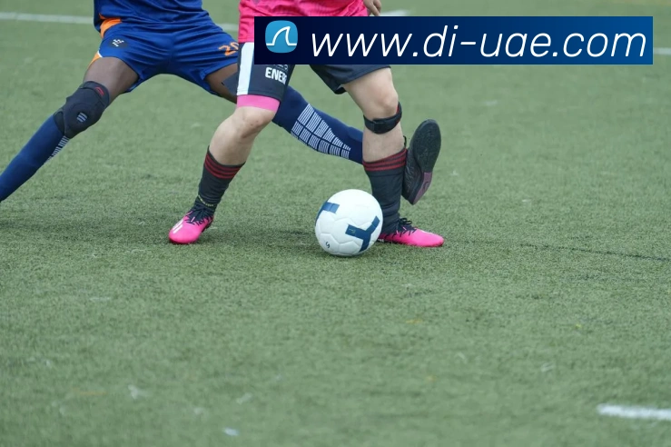 安博在线登录APP 高清赛事图